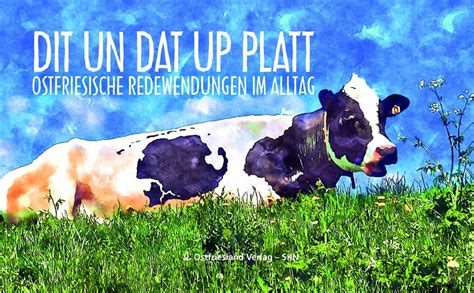 Dit un Dat up Platt: Ostfriesische Redewendungen im Alltag : Buy 